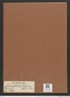Ardissonia fulgens (Grev.?) Grun. (de-Toni-Nr.: Genus 68, Species 2676) Zeichnungen Sammlung Grunow Mappe 02885 (Herbarium_W_Grunow_drawings_Folder_02885)
